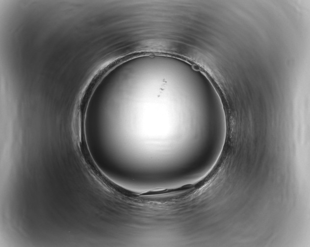X0000096451123200801241413