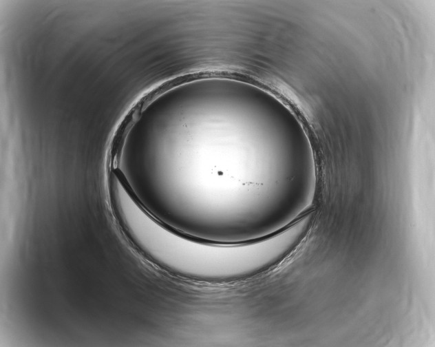 X0000096451124200801241413