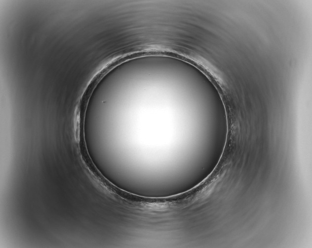 X0000096451126200801241413