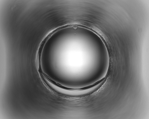 X0000096451127200801241413