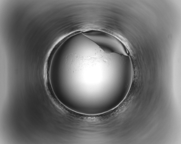 X0000096451128200801241413