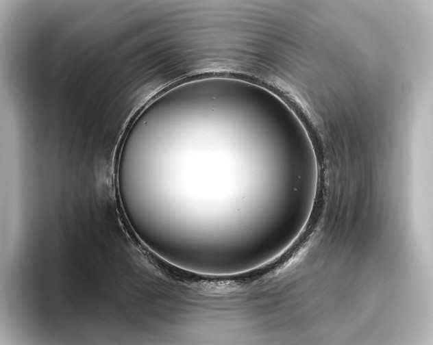 X0000096451129200801241413