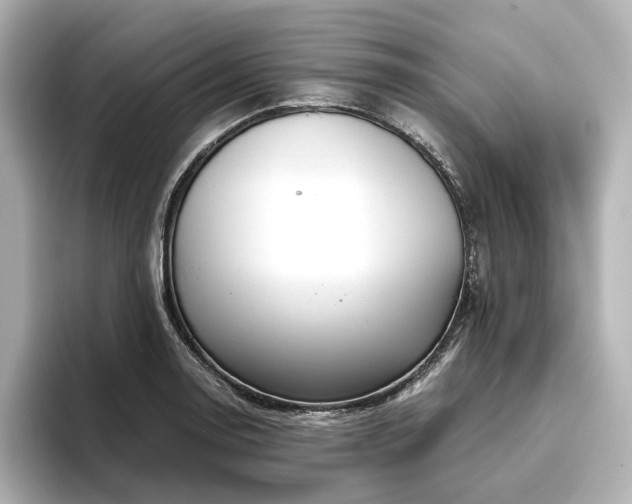 X0000096451130200801241413