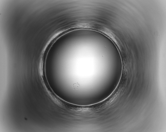 X0000096451131200801241413