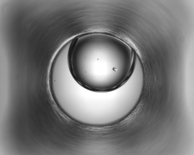 X0000096451132200801241413