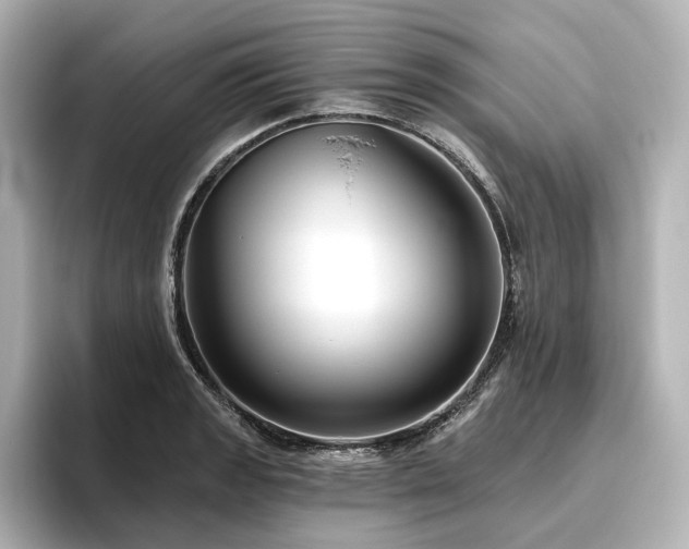 X0000096451133200801241413