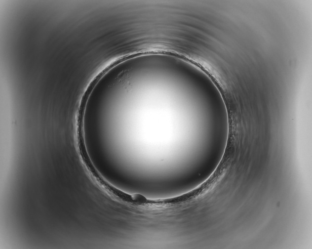 X0000096451134200801241413
