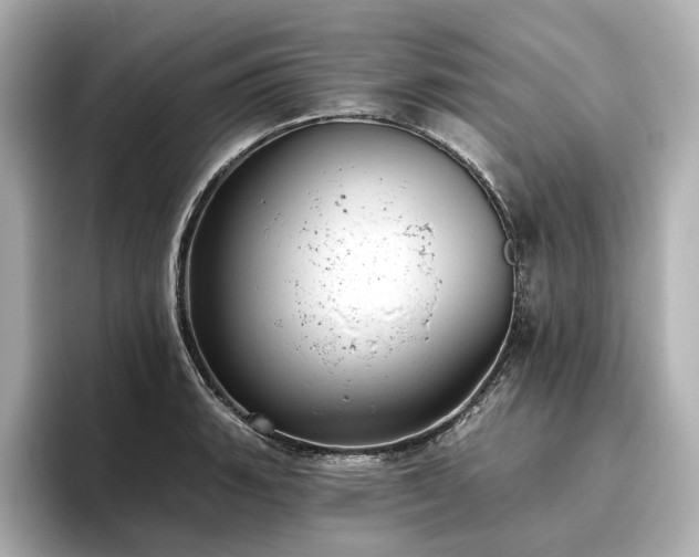 X0000096451135200801241413