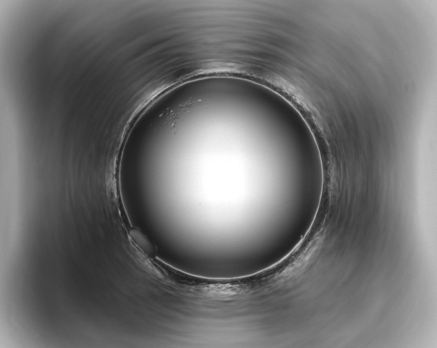 X0000096451137200801241413