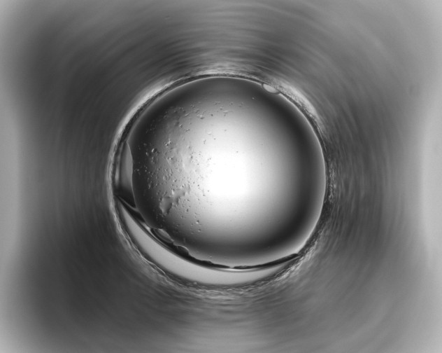 X0000096451138200801241413