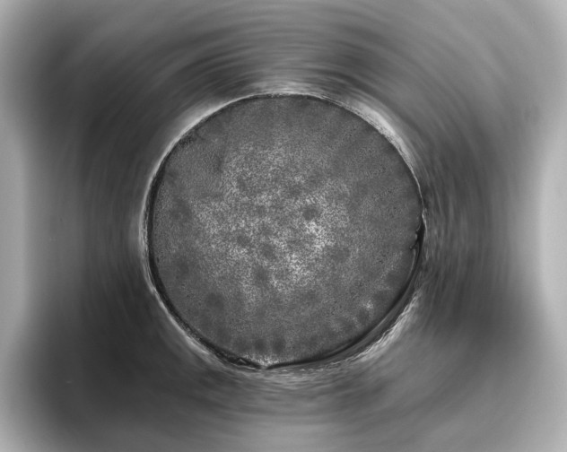 X0000096451141200801241413