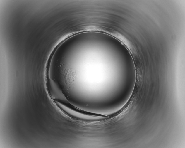 X0000096451142200801241413