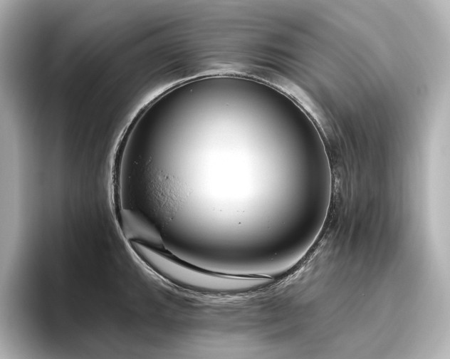 X0000096451143200801241413