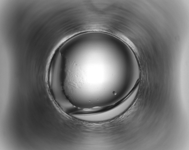 X0000096451144200801241413