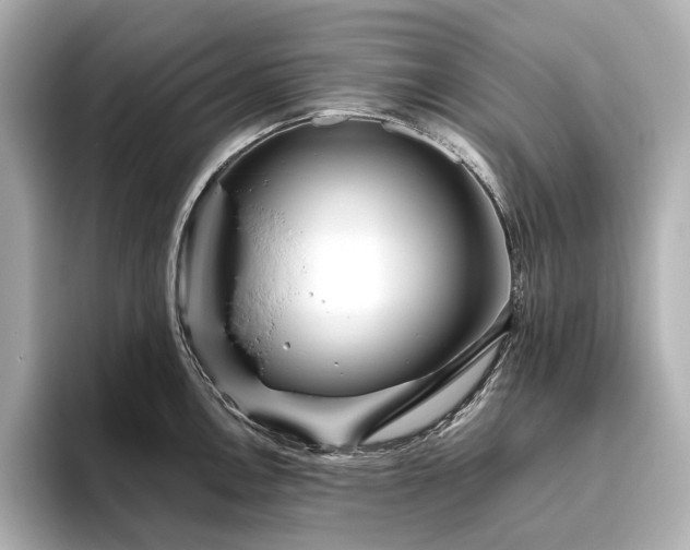 X0000096451146200801241413