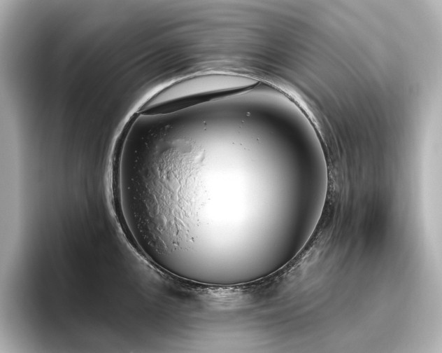 X0000096451147200801241413