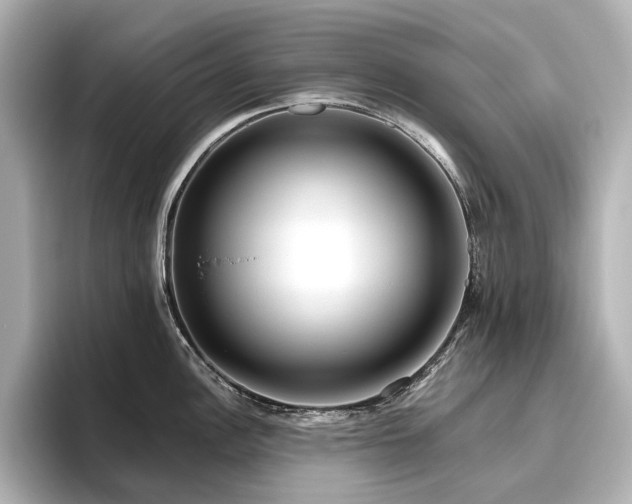 X0000096451148200801241413