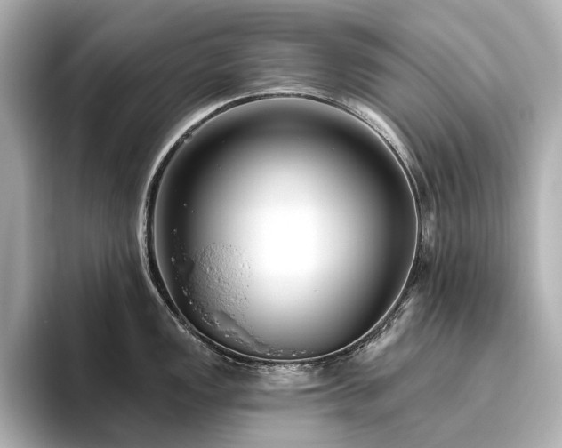 X0000096451149200801241413