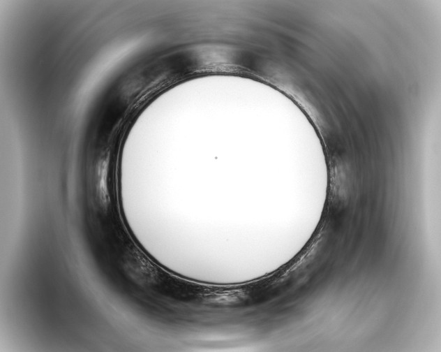 X0000096451150200801241413