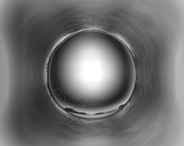 X0000096451151200801241413