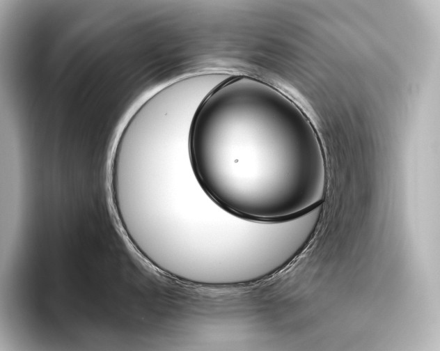 X0000096451152200801241413