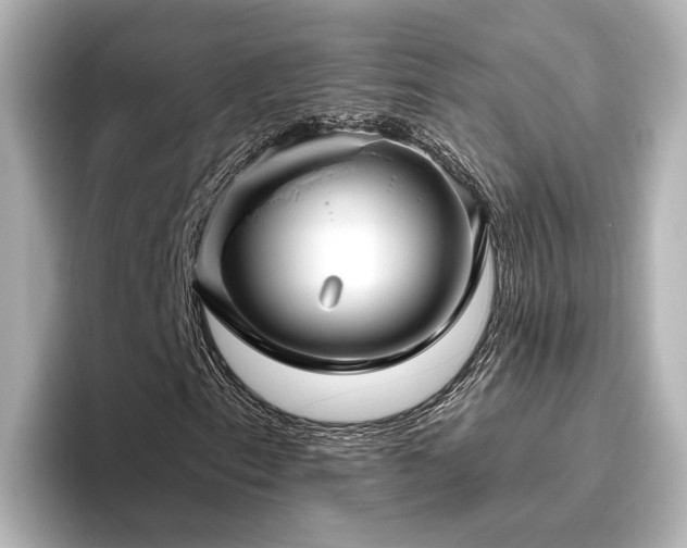 X0000096451153200801241413
