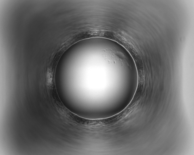 X0000096451154200801241413