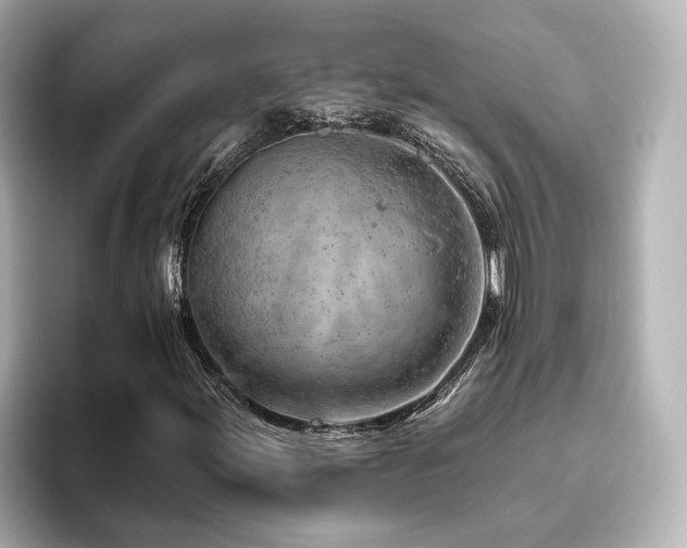 X0000096451155200801241413