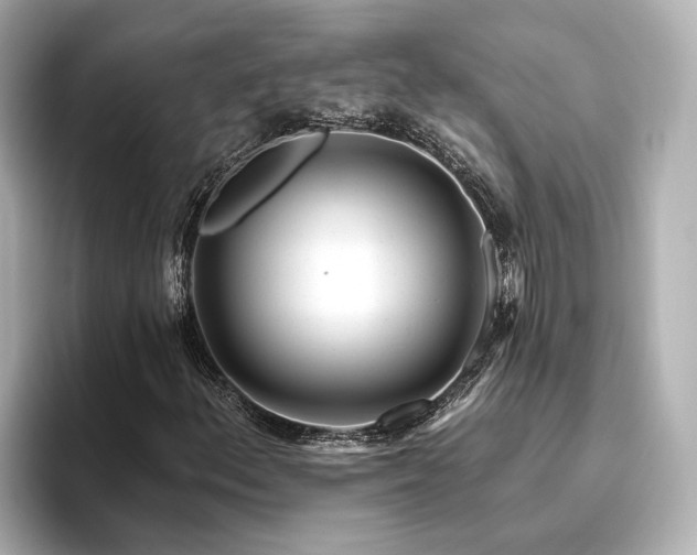 X0000096451156200801241413