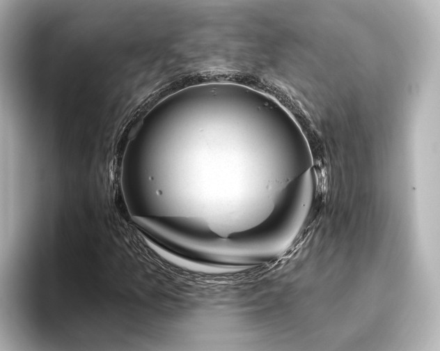 X0000096451157200801241413