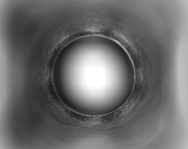 X0000096451158200801241413