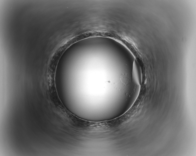 X0000096451159200801241413