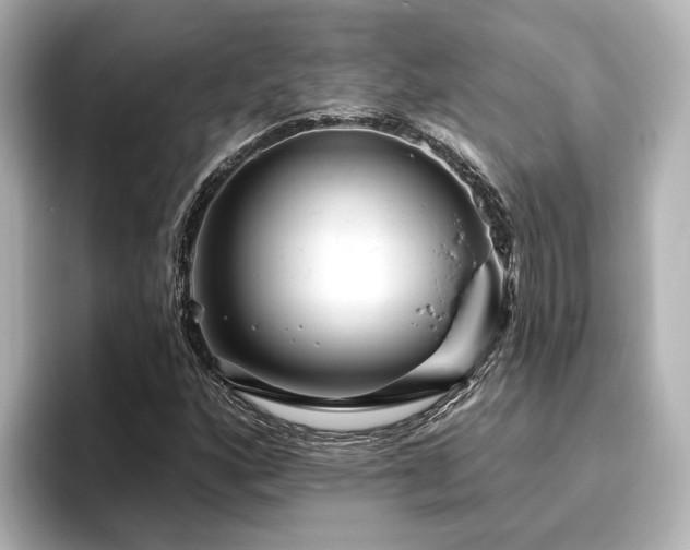 X0000096451160200801241413