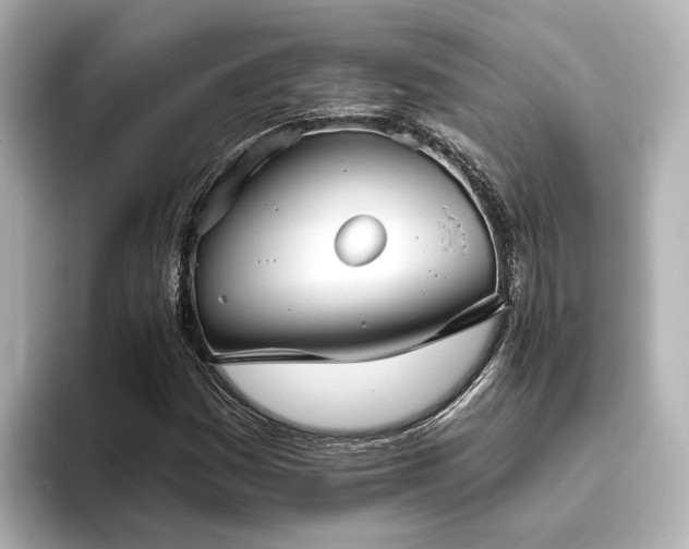 X0000096451161200801241413