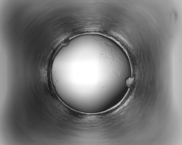 X0000096451162200801241413