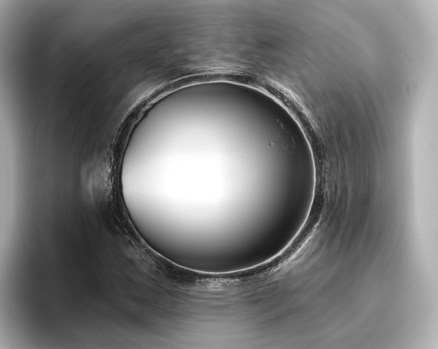X0000096451163200801241413