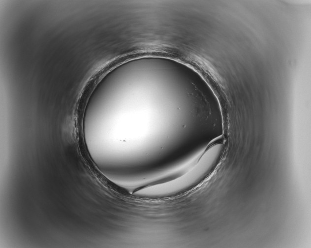 X0000096451164200801241413