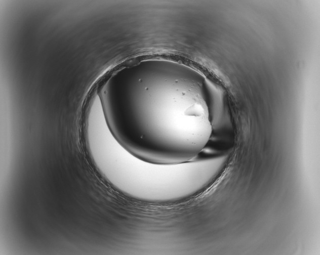 X0000096451165200801241413