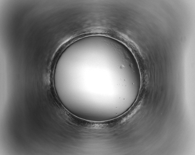 X0000096451166200801241413