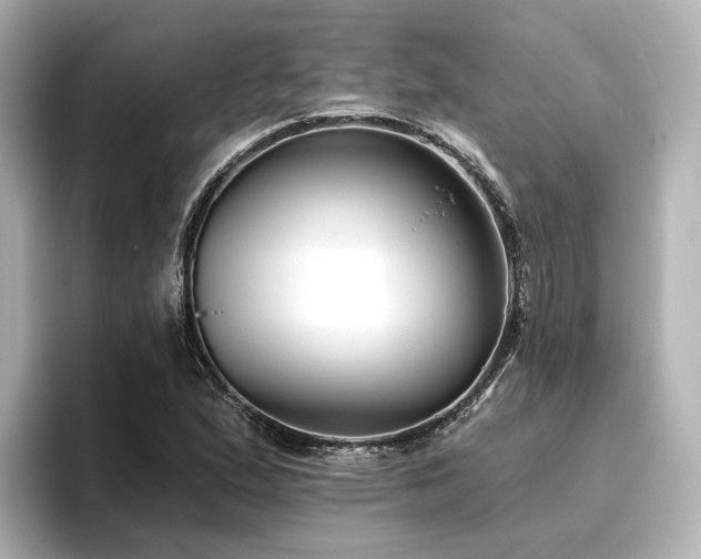 X0000096451167200801241413