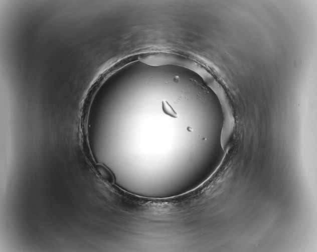 X0000096451168200801241413