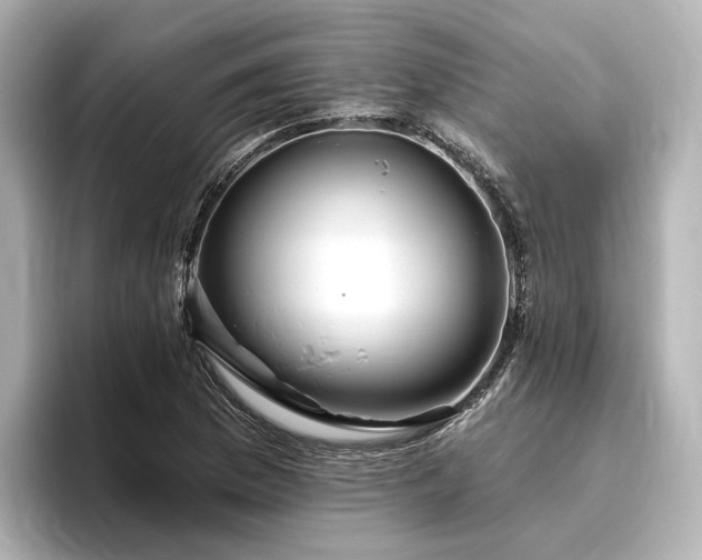 X0000096451169200801241413