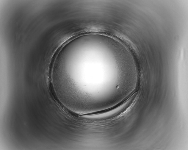 X0000096451170200801241413