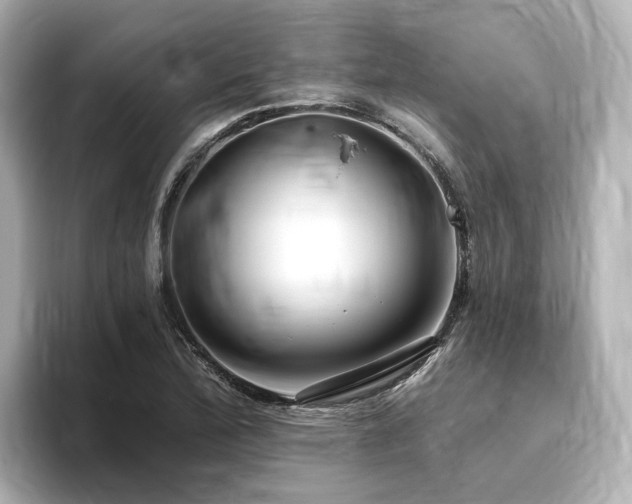 X0000096451172200801241413