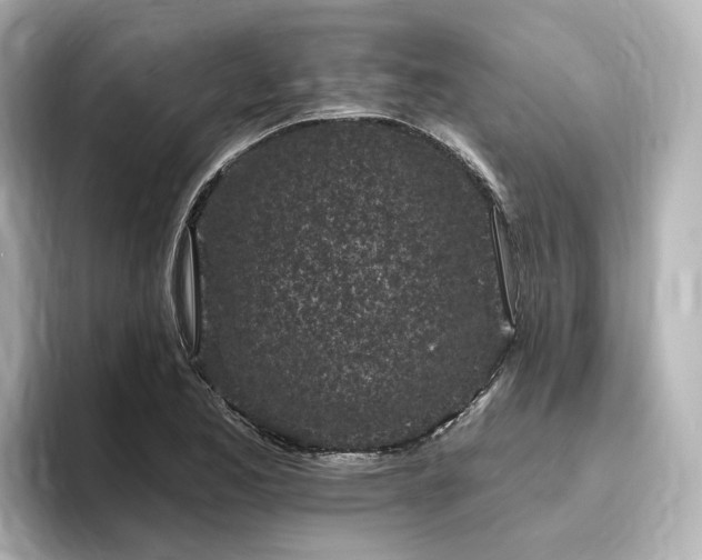 X0000096451173200801241413