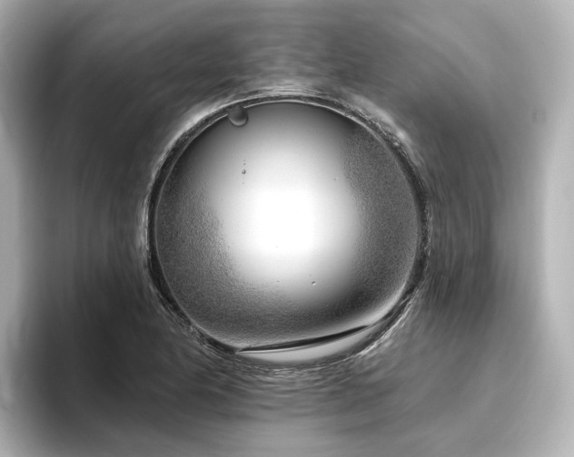 X0000096451174200801241412