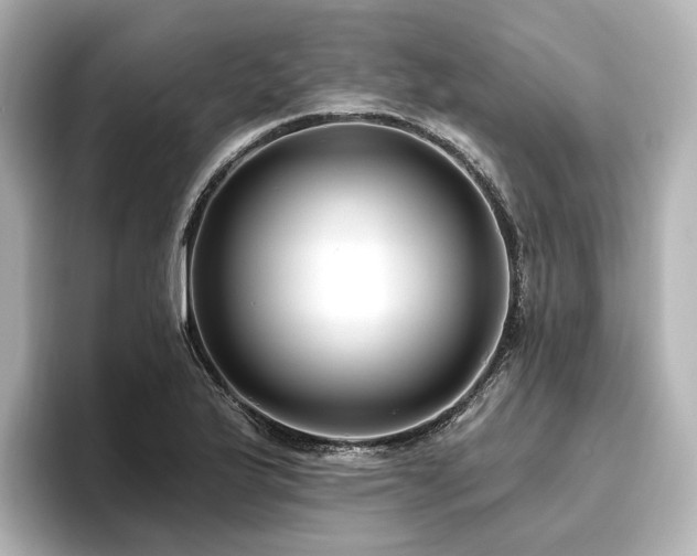 X0000096451175200801241412