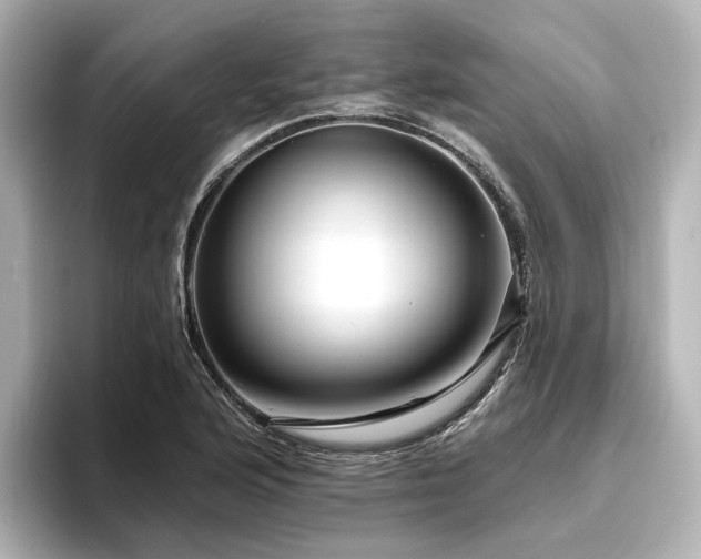 X0000096451176200801241412