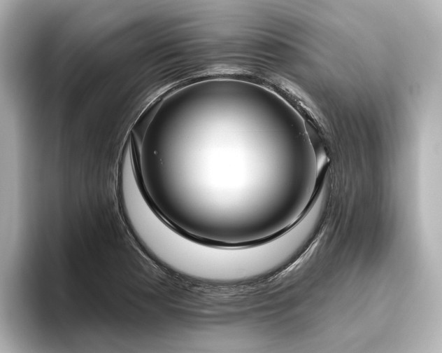 X0000096451177200801241412