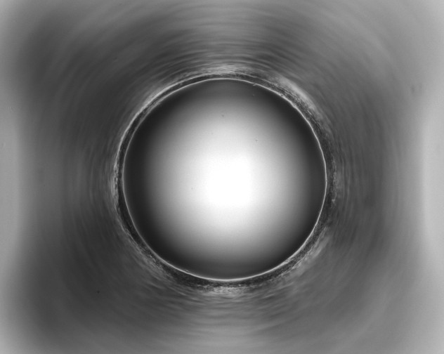 X0000096451178200801241412